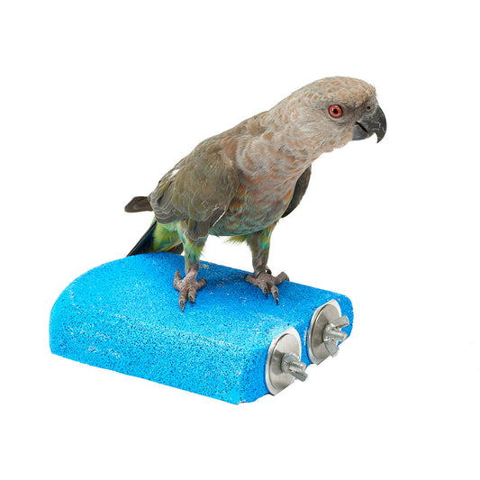 Sanded Shelf Perch