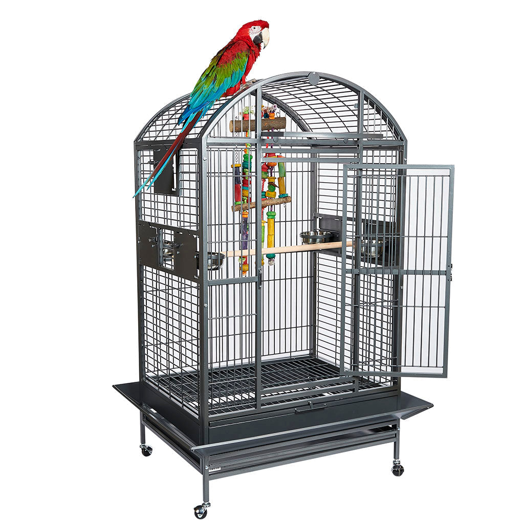 RC Santos Dome II Cage Antique
