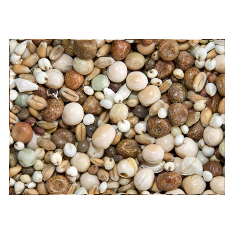 Bamfords Top Flight Super Young Bird 20kg