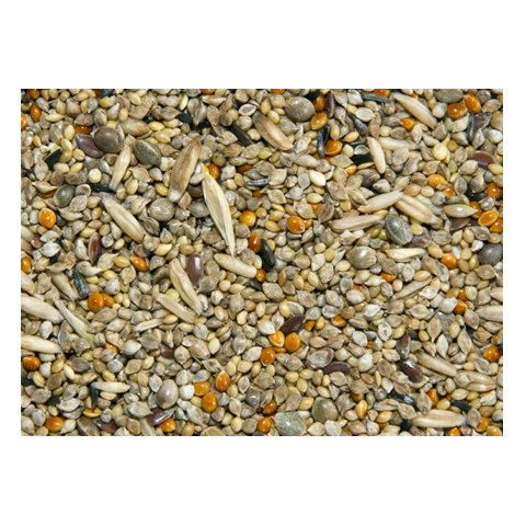 Bamfords Top Flight Budgie Tonic Seed 15kg