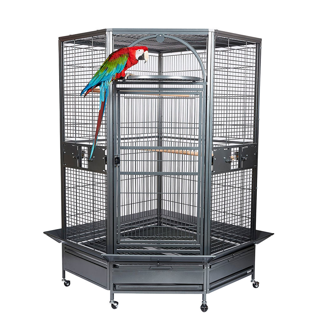 RC Toronto Cage