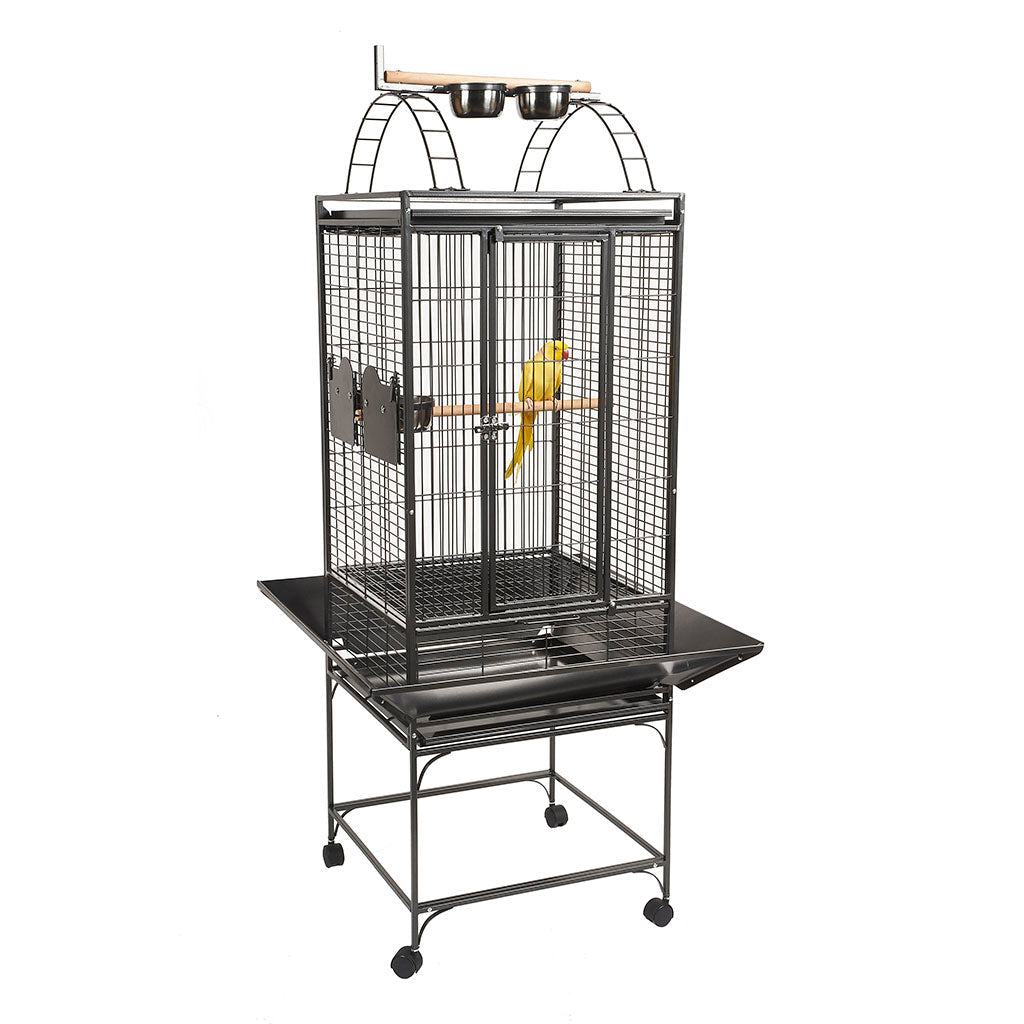 RC Valencia Cage