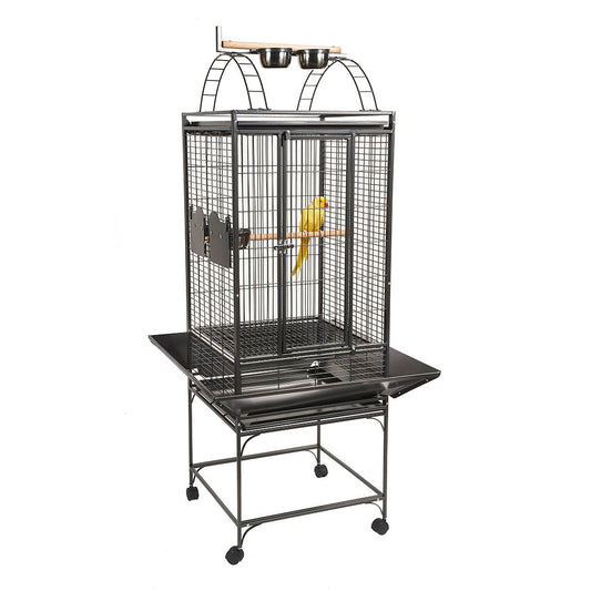 RC Valencia Cage