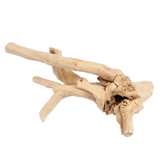 Java Reptile Branch Extra Large